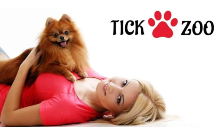 Tickzoo: The Ultimate No-Code Platform for Creative Digital Experiences Tickzoo: The Ultimate No-Code Platform for Creative Digital Experiences