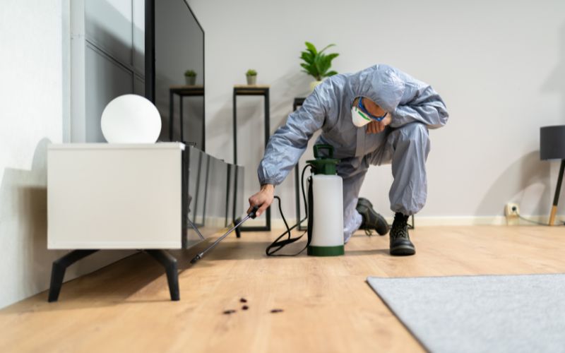 Why Professional Cockroach Control Is Worth It in Philadelphia? Cockroach Control